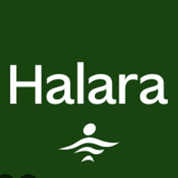 Halara RESELLER BUNDLE Mystery 8 Piece Bundle XS-Plus Sizes - Picture 5 of 6